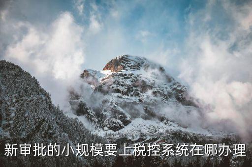 什么是小規(guī)模稅控升級(jí)，新審批的小規(guī)模要上稅控系統(tǒng)在哪辦理