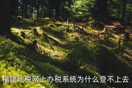 企業(yè)所得稅系統(tǒng)為什么登不上，福建地稅網(wǎng)上辦稅系統(tǒng)為什么登不上去