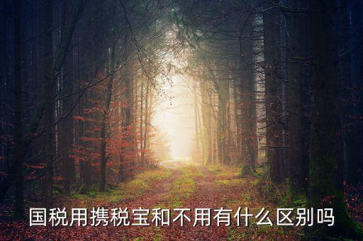 稅寶是什么，國稅用攜稅寶和不用有什么區(qū)別嗎