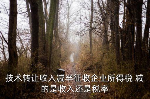技術轉(zhuǎn)讓收入減半征收企業(yè)所得稅 減的是收入還是稅率