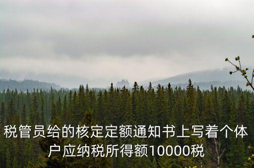 稅管員給的核定定額通知書(shū)上寫(xiě)著個(gè)體戶(hù)應(yīng)納稅所得額10000稅