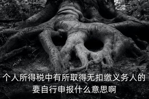 什么叫自行申報(bào)，個(gè)人所得稅中有所取得無(wú)扣繳義務(wù)人的要自行申報(bào)什么意思啊
