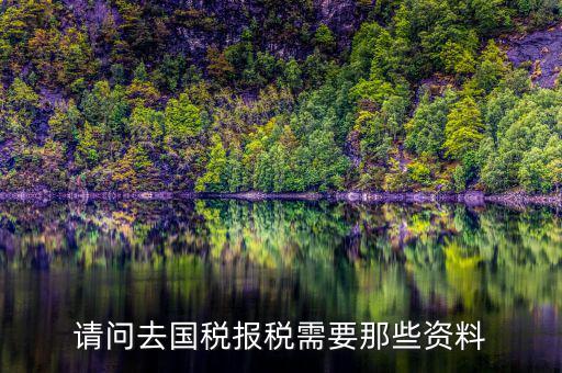 請(qǐng)問去國(guó)稅報(bào)稅需要那些資料