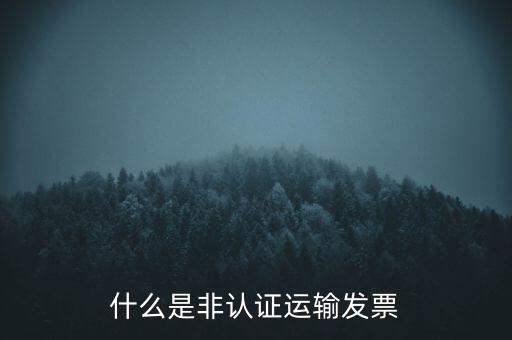 運(yùn)輸票是什么，運(yùn)輸發(fā)票是普通發(fā)票嗎