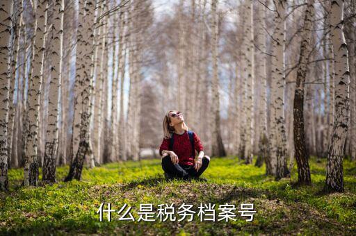 稅收檔案編號是什么，國稅檔案編號是什么