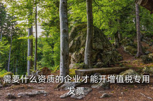 什么公司可以開(kāi)增值稅專用發(fā)票，什么樣的企業(yè)才能開(kāi)增值稅專用發(fā)票