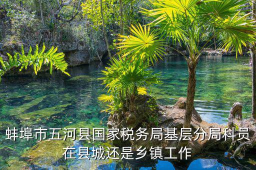 懷遠稅務局在什么地方，蚌埠市五河縣國家稅務局基層分局科員在縣城還是鄉(xiāng)鎮(zhèn)工作