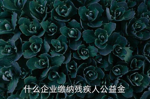 什么企業(yè)需申報(bào)殘疾人保障金，哪些單位應(yīng)該繳納殘疾人保障基金