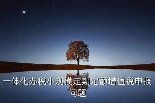非定期定額戶申報(bào)是什么意思，一體化辦稅小規(guī)模定期定額增值稅申報(bào)問題