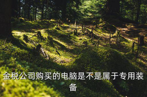 金稅設備什么時候買，金稅公司購買的電腦是不是屬于專用裝備