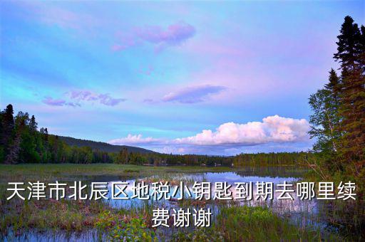 天津地稅小鑰匙密碼是什么，天津市北辰區(qū)地稅小鑰匙到期去哪里續(xù)費(fèi)謝謝