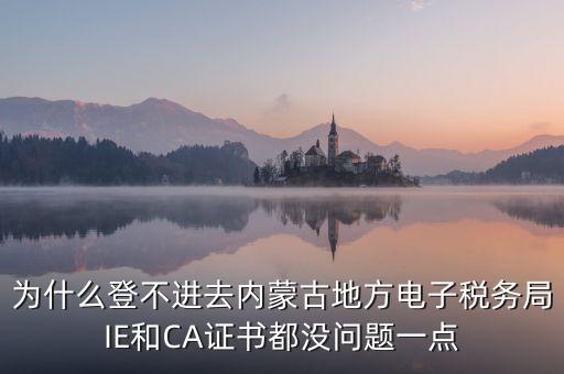 為什么電子稅務(wù)局登錄不了，山西省電子稅務(wù)局在電腦上登陸不上為啥呢