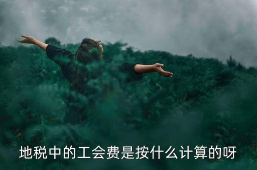 地稅代征的工會(huì)經(jīng)費(fèi)按什么計(jì)算，地稅中的工會(huì)費(fèi)是按什么計(jì)算的呀