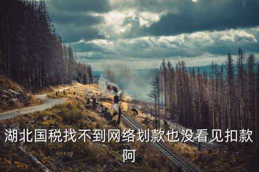 湖北省國稅局四個確保是什么，湖北國稅找不到網(wǎng)絡(luò)劃款也沒看見扣款阿