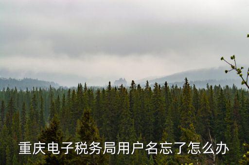 重慶電子稅務(wù)局的網(wǎng)址是什么意思，重慶市國稅電子申報委托繳稅的網(wǎng)址