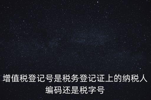 一般納稅人登記編號(hào)是什么，納稅人編號(hào)是什么