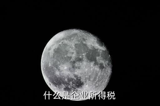 什么是分配所得的企業(yè)所得稅，什么是企業(yè)所得稅