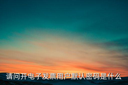 重慶國稅電子發(fā)票登錄密碼是什么意思，國稅局發(fā)票軟件里用戶代碼和密碼是什么