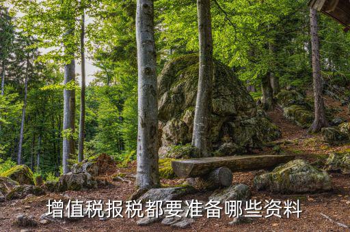 福建報(bào)稅要提供什么資料，報(bào)稅需要什么資料