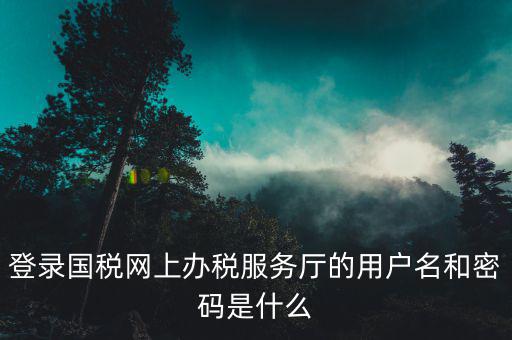 稅務(wù)查詢賬號密碼是什么意思，登錄國稅網(wǎng)上辦稅服務(wù)廳的用戶名和密碼是什么
