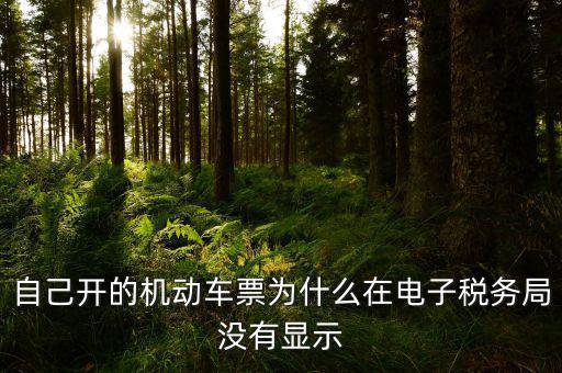 為什么登錄電子稅務(wù)局沒(méi)有反映，自己開(kāi)的機(jī)動(dòng)車(chē)票為什么在電子稅務(wù)局沒(méi)有顯示
