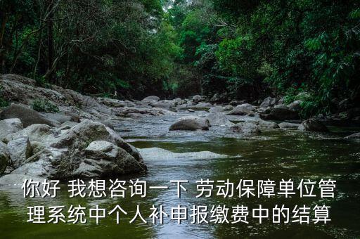 你好 我想咨詢一下 勞動保障單位管理系統(tǒng)中個人補(bǔ)申報繳費(fèi)中的結(jié)算