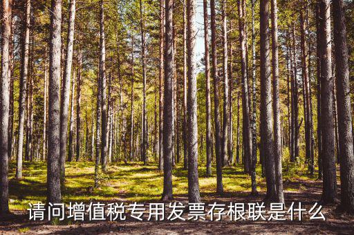 發(fā)票存根聯(lián)是什么，發(fā)票存根聯(lián)是按發(fā)票購(gòu)領(lǐng)本上領(lǐng)購(gòu)的本數(shù)裝訂還是25張裝訂一冊(cè)
