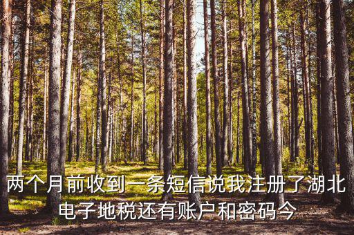 地稅什么時候會給電子稅務(wù)密碼，報地稅的時候登陸密碼每天有幾次輸入機會