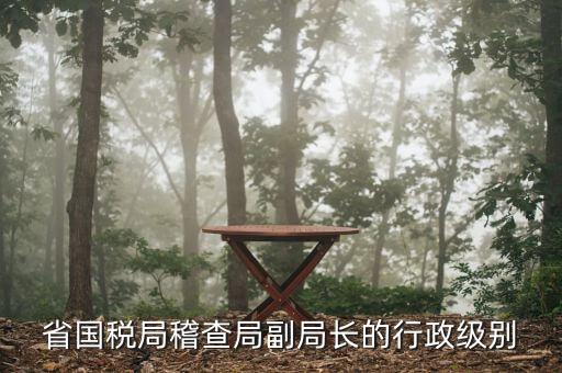 湖南稽查局長什么級(jí)別，湖南廣電局紀(jì)檢組長是什么級(jí)別