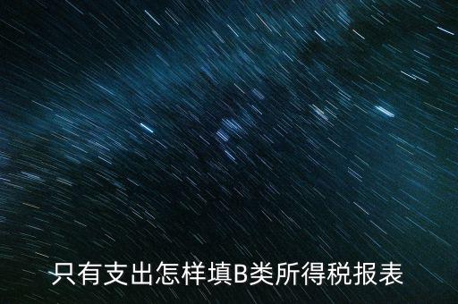 個(gè)人生產(chǎn)經(jīng)營(yíng)所得B表稅金填什么，只有支出怎樣填B類所得稅報(bào)表