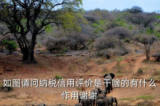 申請納稅信用復(fù)評需要什么資料，納稅信用評價的基本規(guī)范要求包括什么
