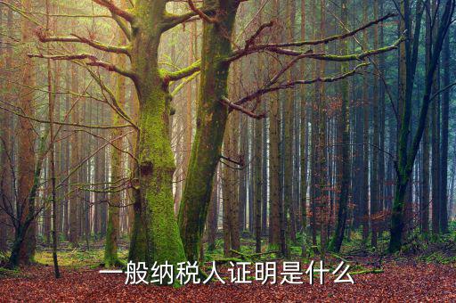什么可以證明是一般納稅人，什么叫一般納稅人我如何辨別自己公司是否是一般納稅人