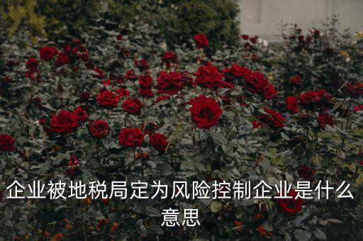 稅收風(fēng)險(xiǎn)控制是什么，稅務(wù)風(fēng)險(xiǎn)管理的稅務(wù)風(fēng)險(xiǎn)管理制度
