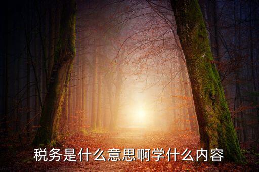 稅務(wù)中介是什么，稅務(wù)師事務(wù)所屬于什么行業(yè)