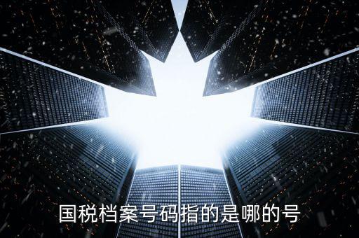 國稅號碼是什么，什么是國稅檔案號
