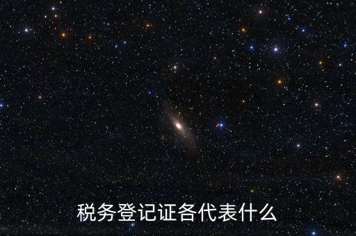 什么稅務(wù)登記證，什么是稅務(wù)登記證