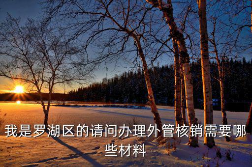 深圳外經(jīng)證核銷需要什么資料，我是羅湖區(qū)的請問辦理外管核銷需要哪些材料