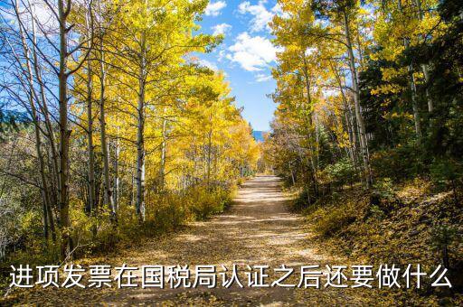 稅務(wù)認(rèn)定之后做什么，新辦企業(yè)稅務(wù)登記證下來后接下來會(huì)計(jì)該做些什么工作