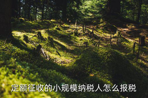 小規(guī)模納稅人 什么定額申報(bào)，定額征收的小規(guī)模納稅人怎么報(bào)稅