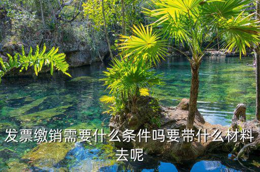 票證結(jié)報繳銷包括什么，去國稅局做稅票結(jié)報要帶哪些東西