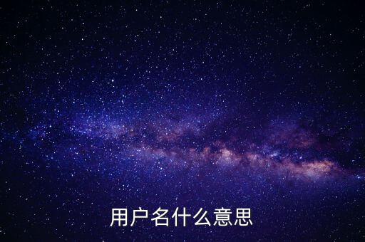 微稅用戶名是什么意思啊，用戶名什么意思