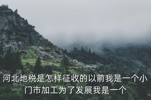 河北省地稅報稅征收方式是什么，河北地稅申報個人所得稅