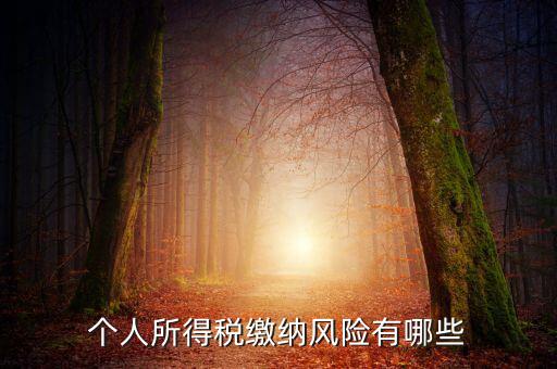 所得稅申報時有什么風險提示，個人所得稅繳納風險有哪些