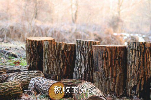 稅收的分類(lèi)