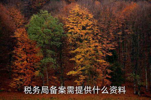 稅務(wù)局備案需提供什么資料，稅務(wù)局備案需提供什么資料
