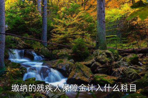 殘疾人就業(yè)保障金稅目是什么，殘疾人就業(yè)保障金應計什么會計科目