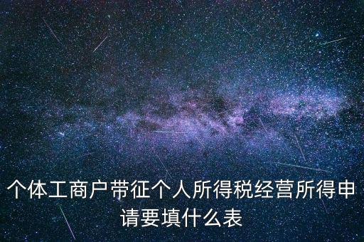 個體所得稅填什么表，個稅表怎么填