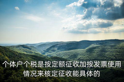個(gè)體戶(hù)個(gè)稅是按定額征收加按發(fā)票使用情況來(lái)核定征收能具體的