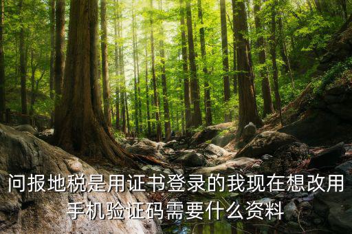 湖南地稅什么叫證書登陸，地稅數(shù)字證書是什么