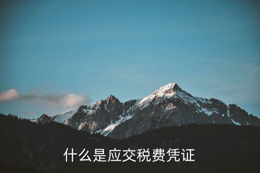 稅金憑證是什么意思，完稅證明什么意思